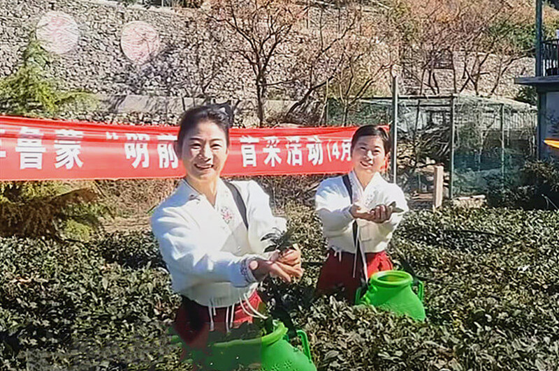 沂蒙山美&nbsp;鲁蒙茶香&mdash;&mdash;山东平邑竟私藏了沂蒙山独有的春天味道